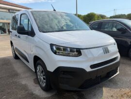 Fiat Qubo L